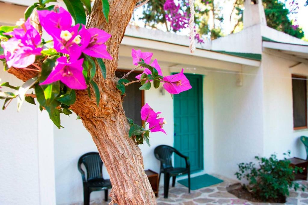 Myndos Bed & Breakfast Bodrum Exteriör bild